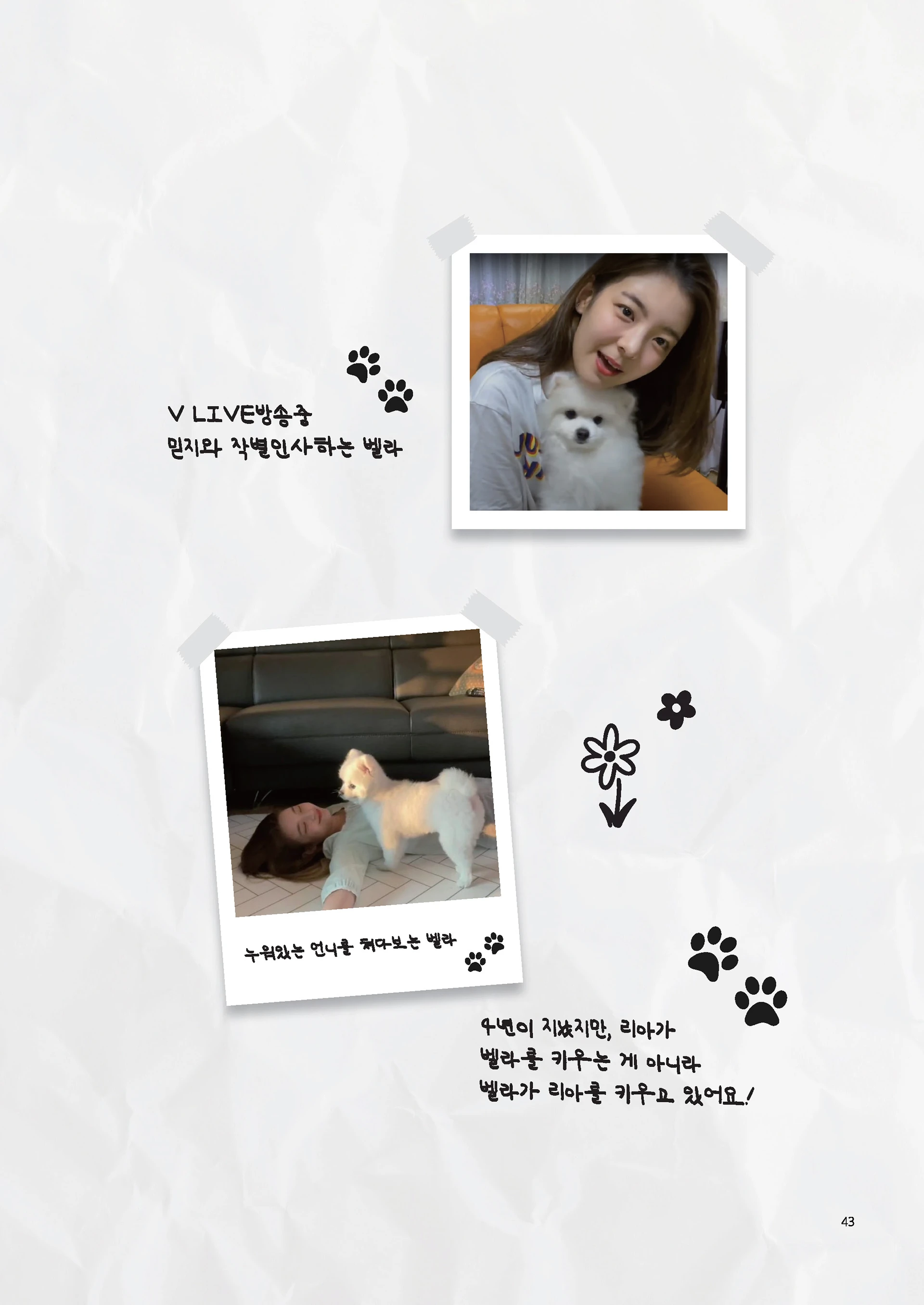 Message Book 43