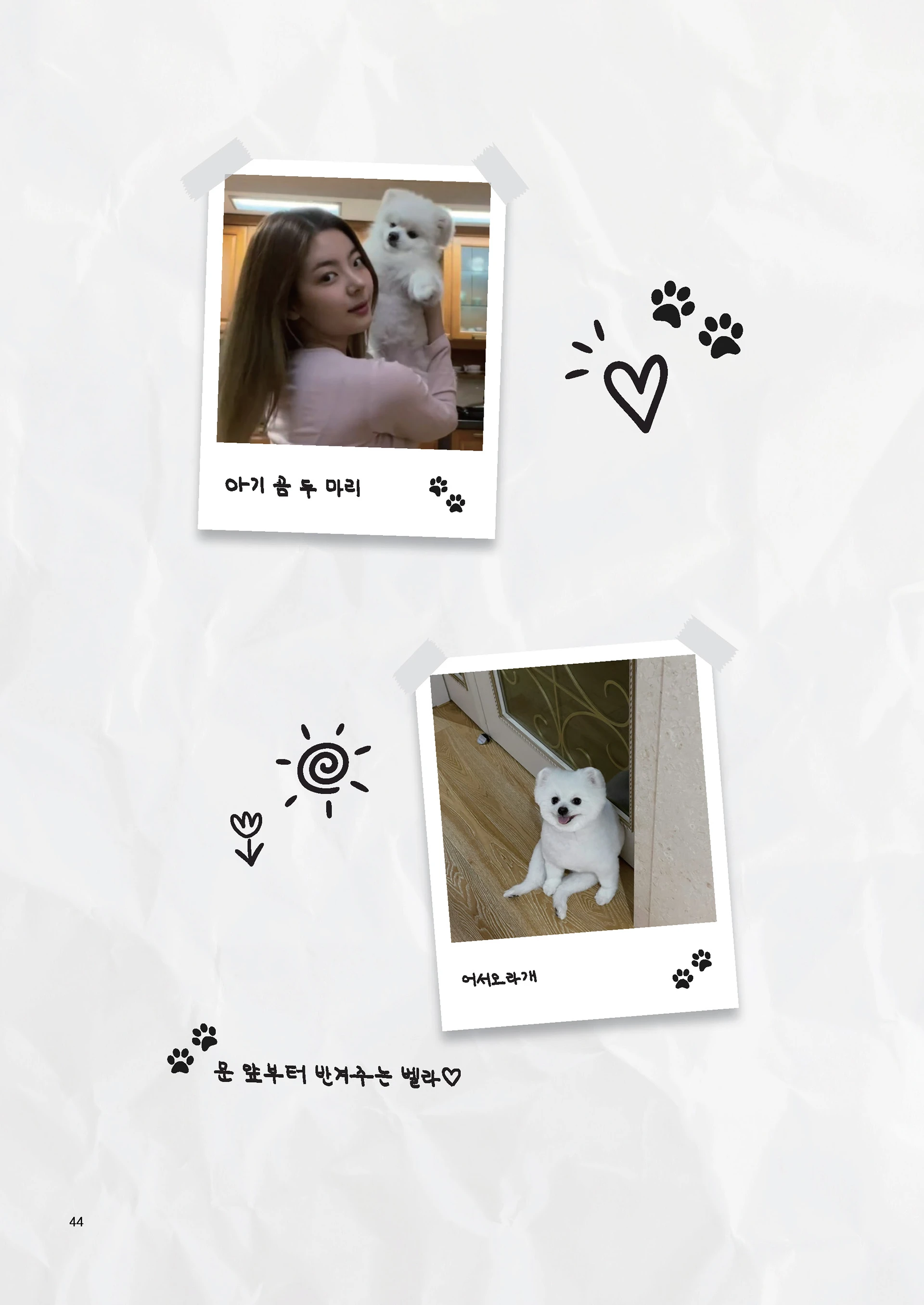 Message Book 44