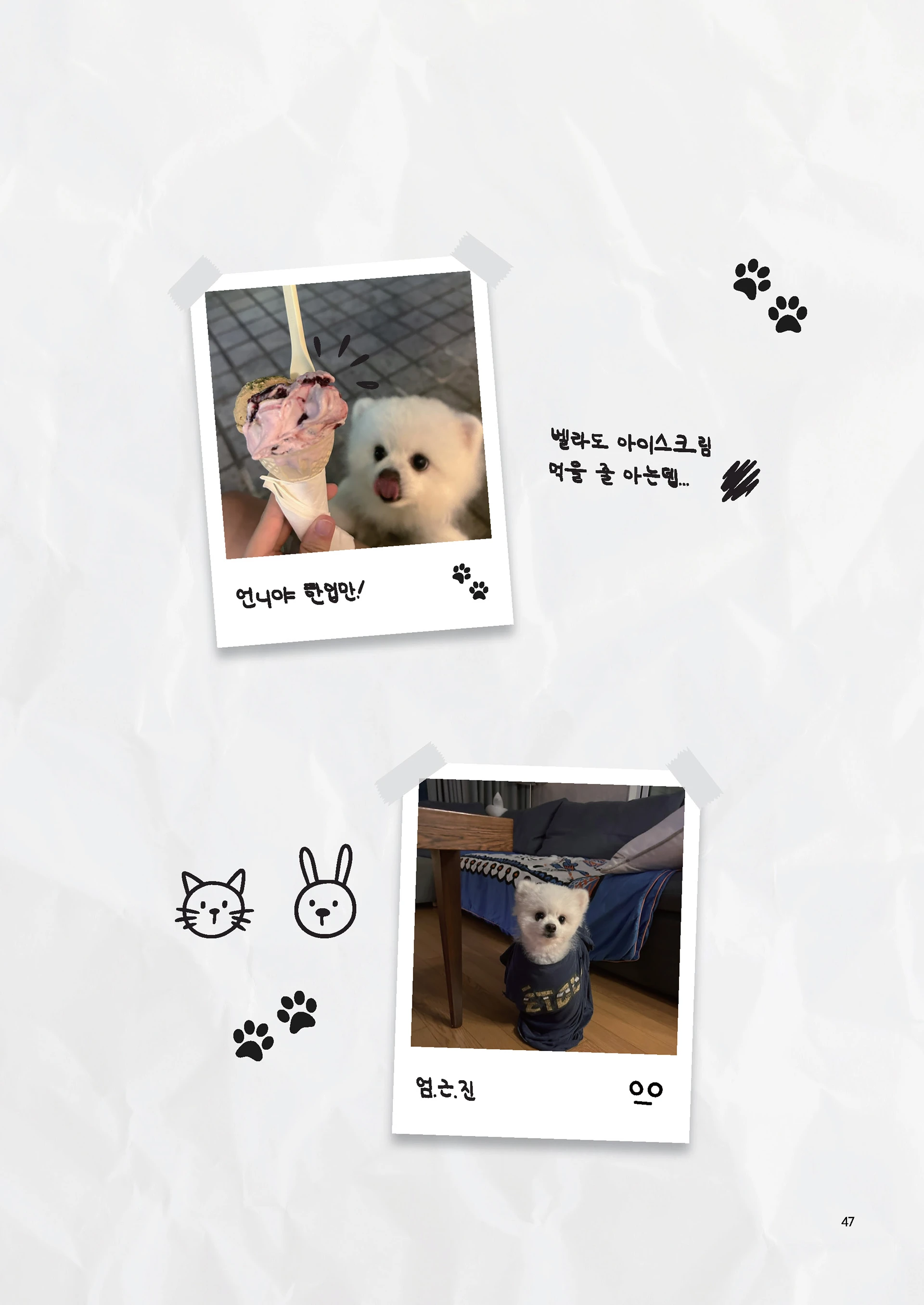Message Book 47