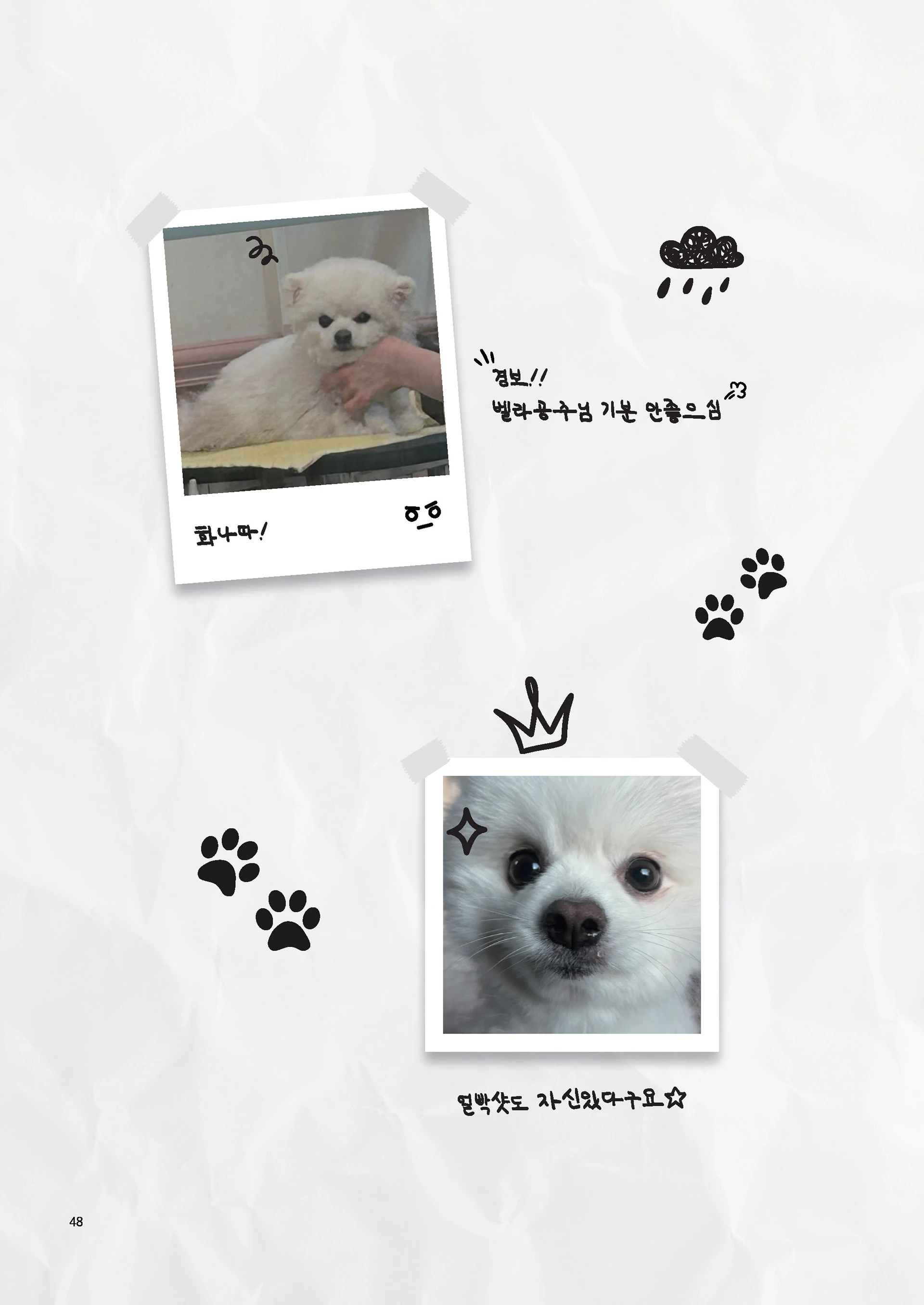 Message Book 48