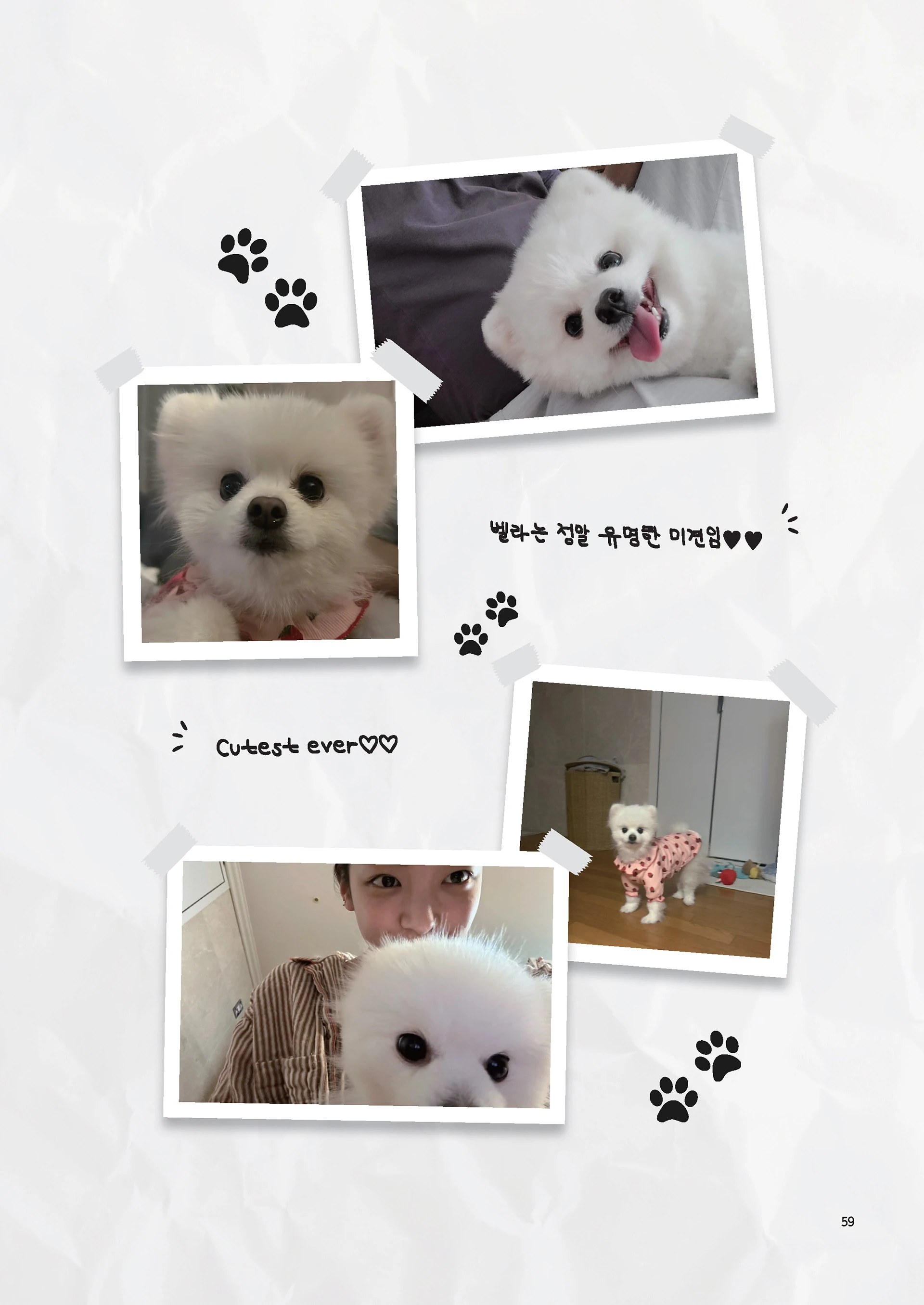 Message Book 59