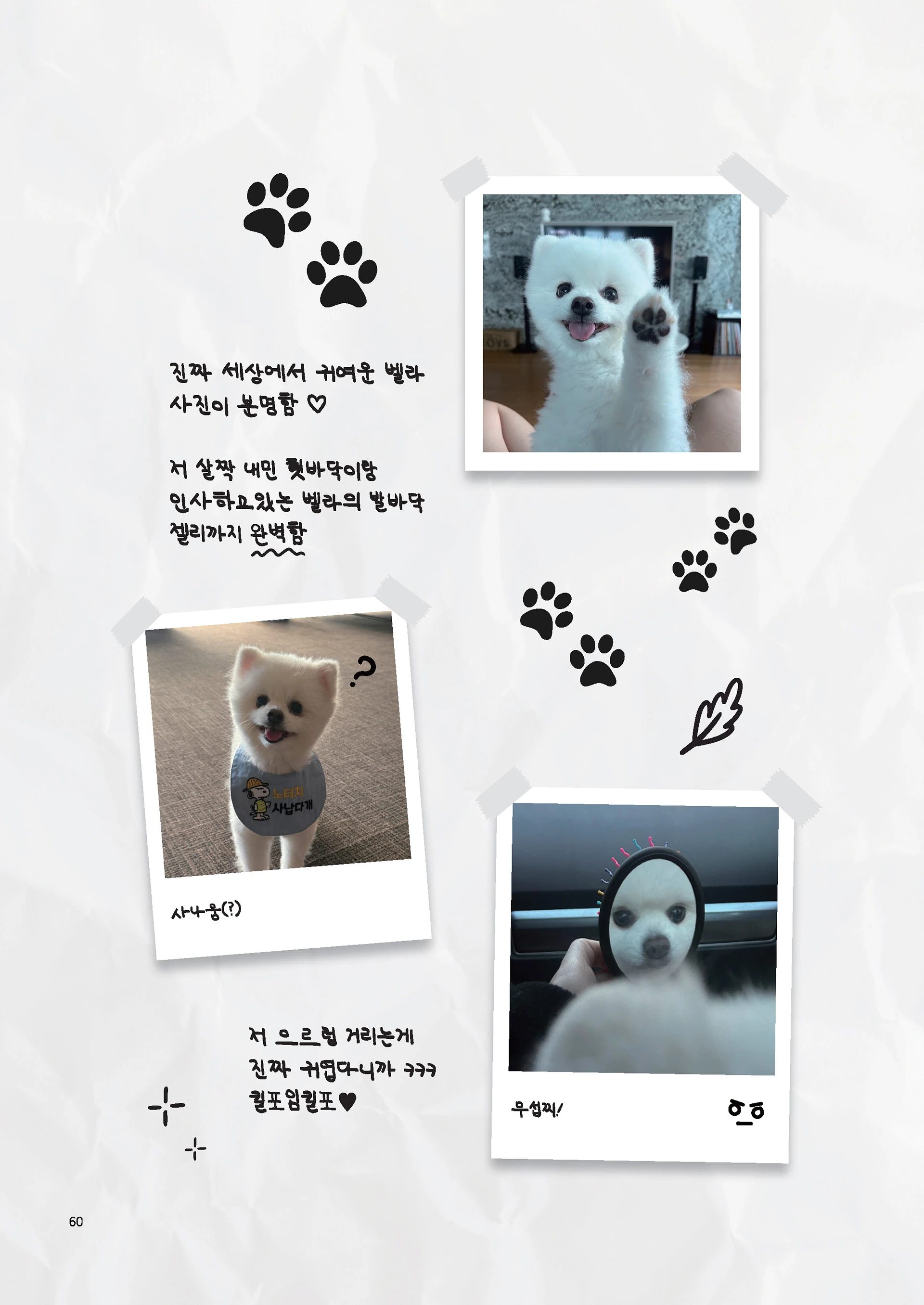 Message Book 60
