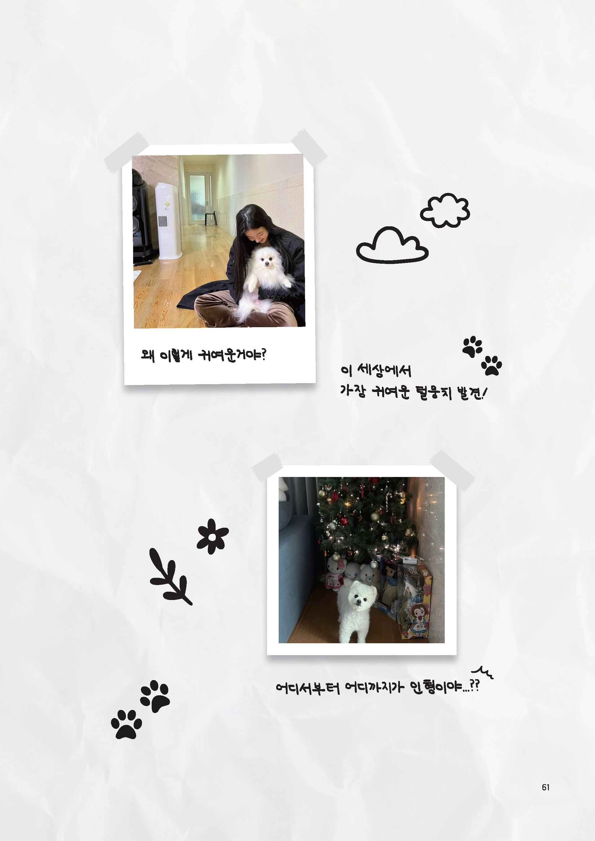 Message Book 61