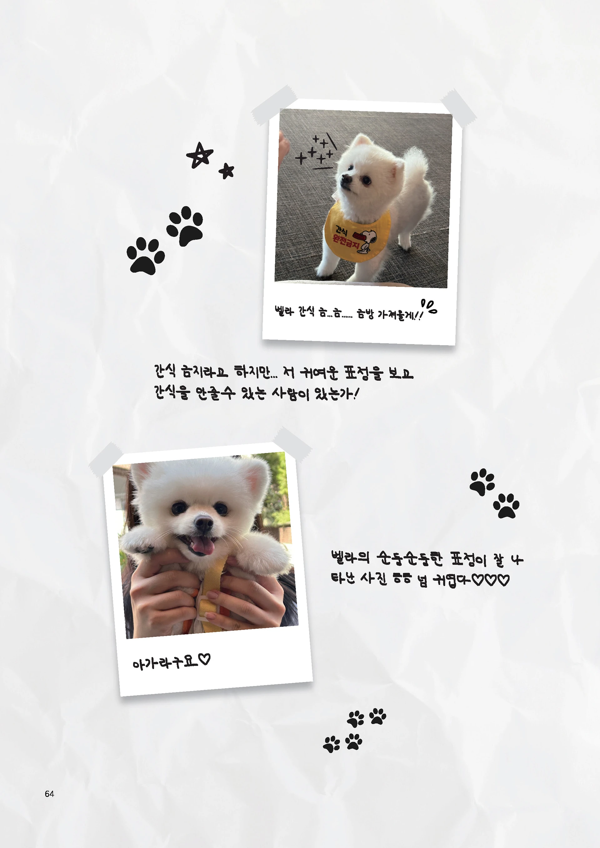 Message Book 64