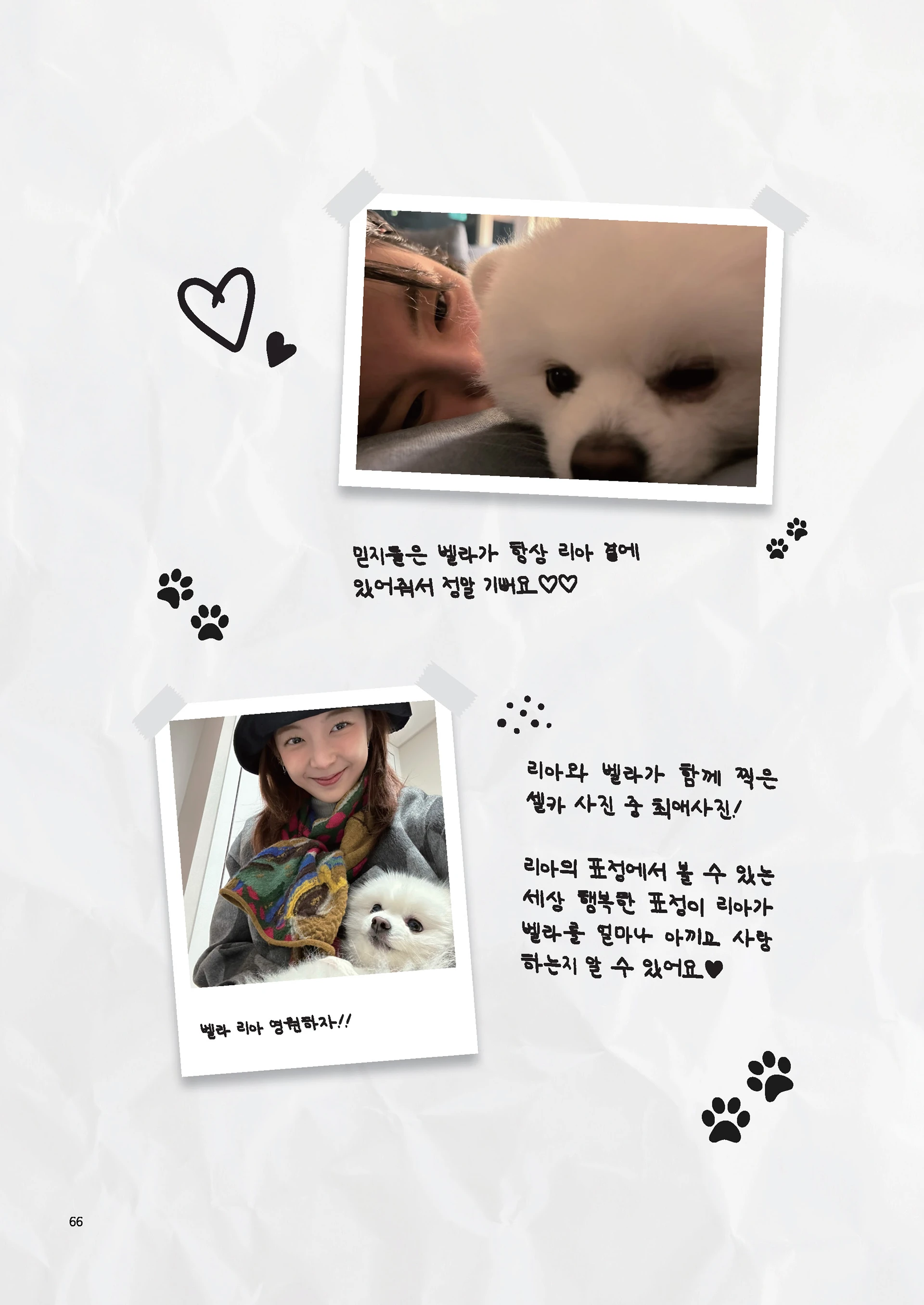 Message Book 66