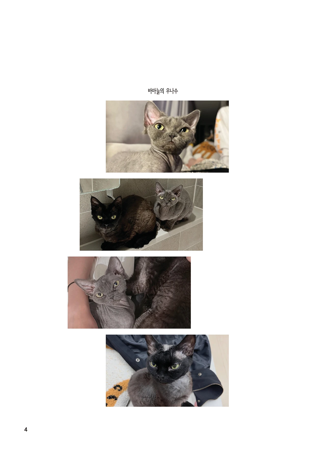 Message Book 4