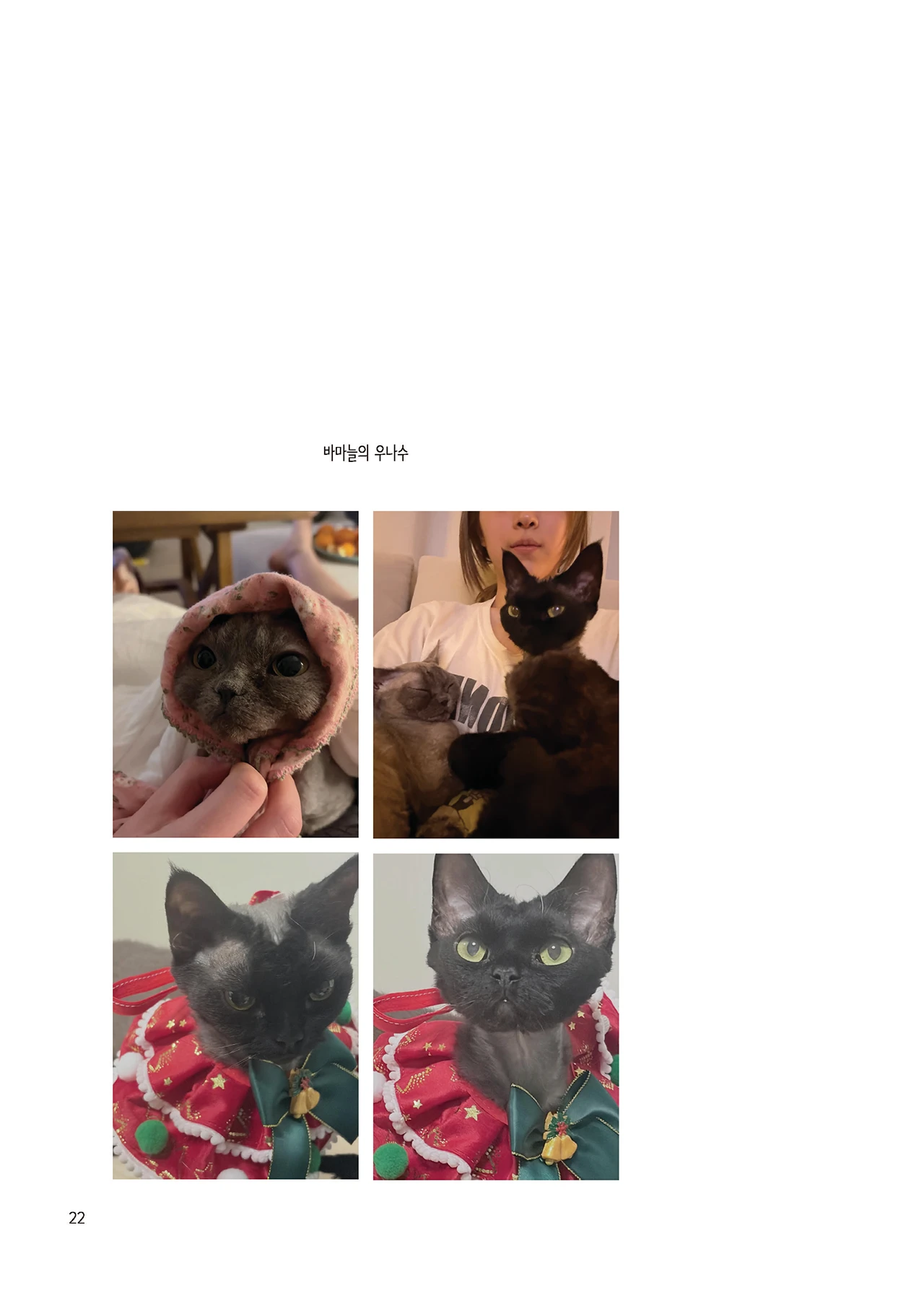 Message Book 22
