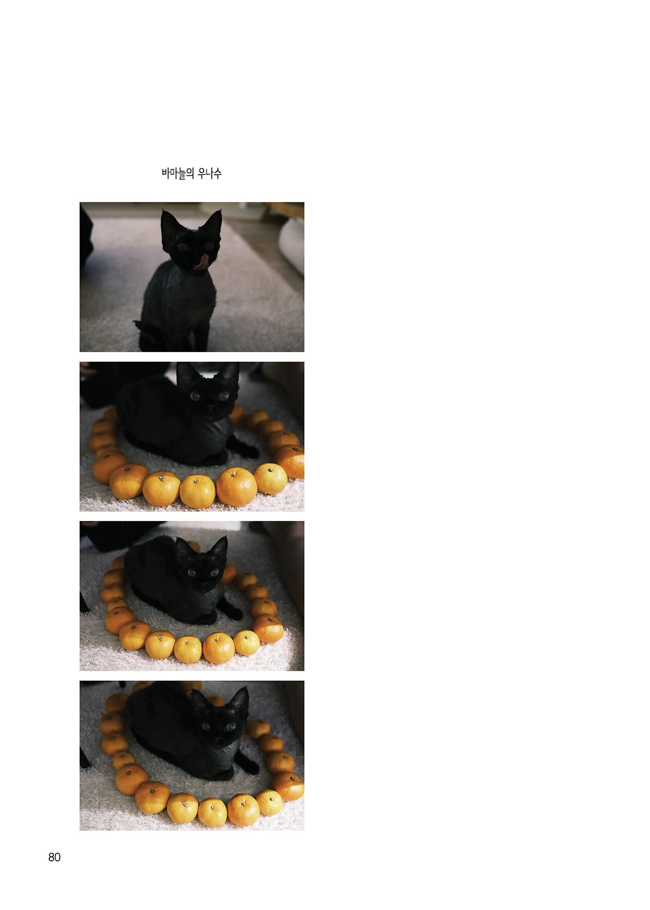 Message Book 80