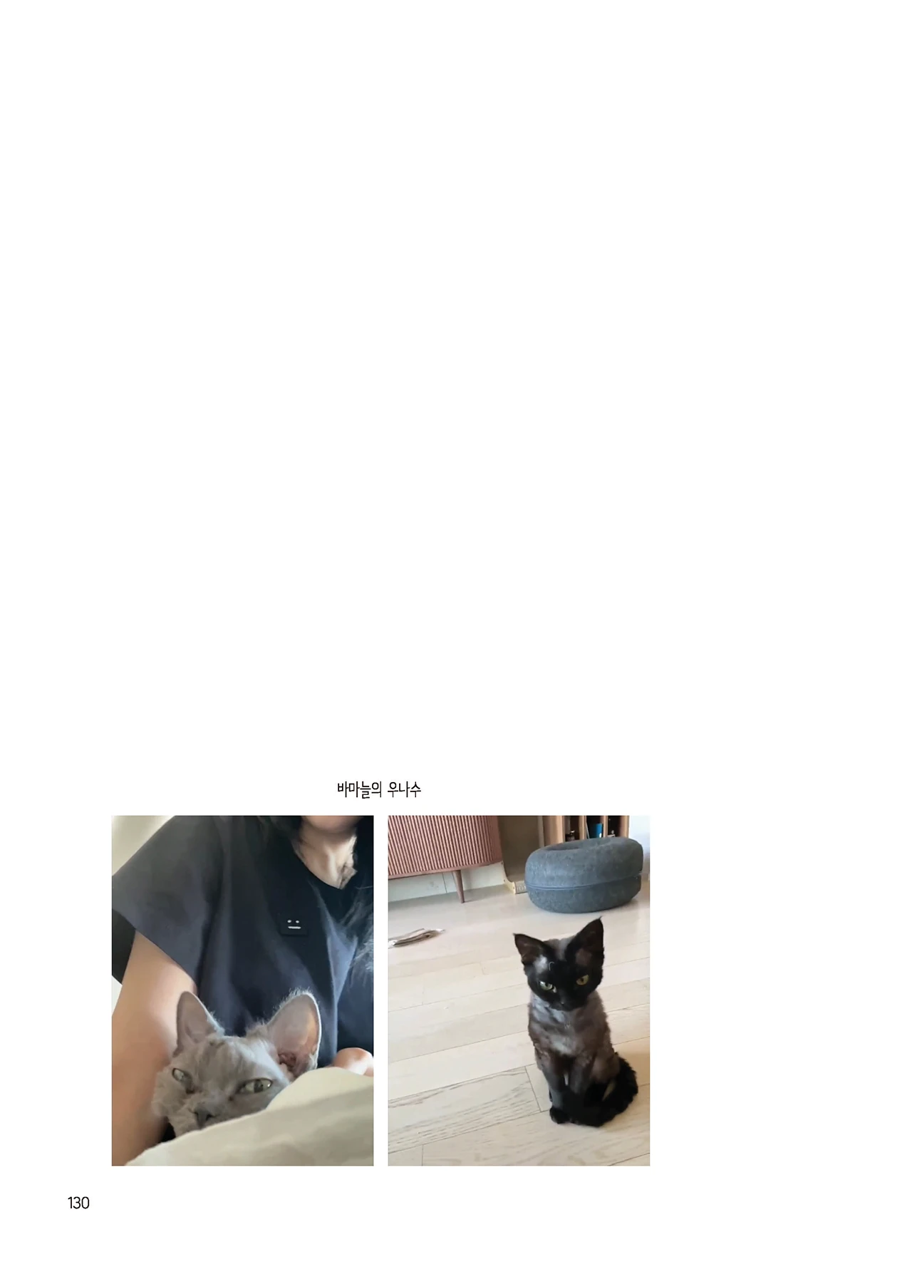 Message Book 130